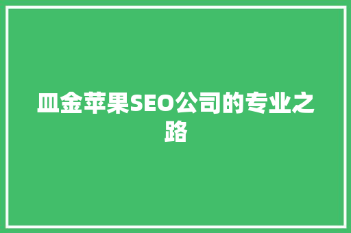 皿金苹果SEO公司的专业之路