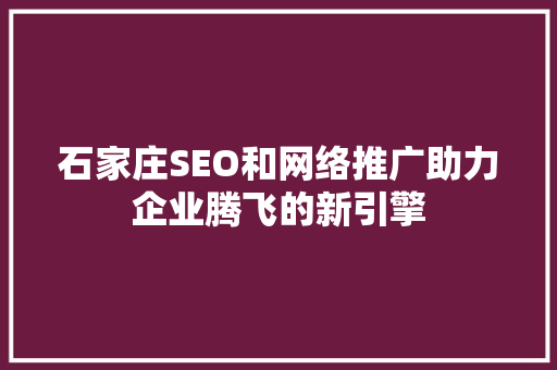 石家庄SEO和网络推广助力企业腾飞的新引擎