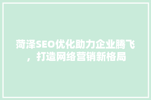菏泽SEO优化助力企业腾飞，打造网络营销新格局