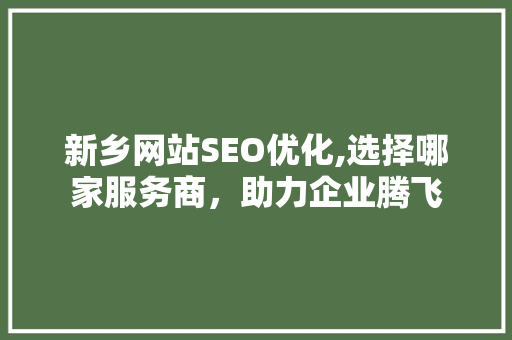 新乡网站SEO优化,选择哪家服务商，助力企业腾飞