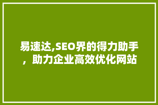 易速达,SEO界的得力助手，助力企业高效优化网站