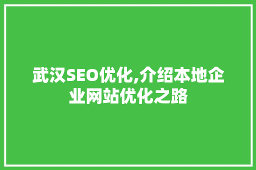 武汉SEO优化,介绍本地企业网站优化之路