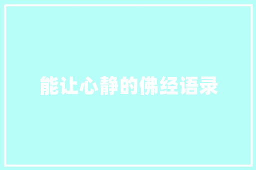 泉州网站SEO优化方法全攻略,提升网站排名，助力企业腾飞