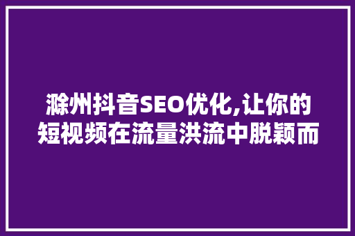 滁州抖音SEO优化,让你的短视频在流量洪流中脱颖而出