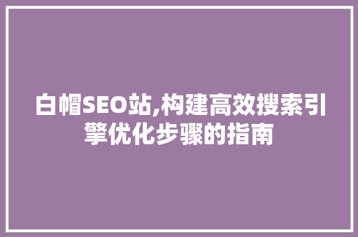 白帽SEO站,构建高效搜索引擎优化步骤的指南