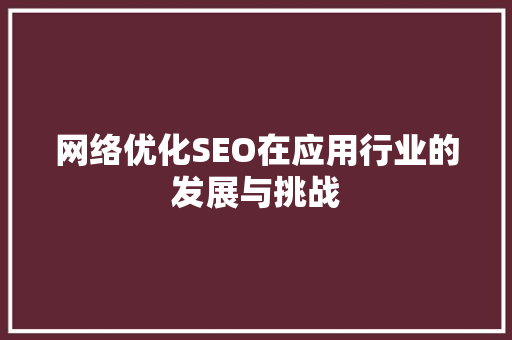 网络优化SEO在应用行业的发展与挑战