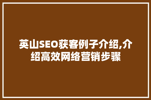 英山SEO获客例子介绍,介绍高效网络营销步骤