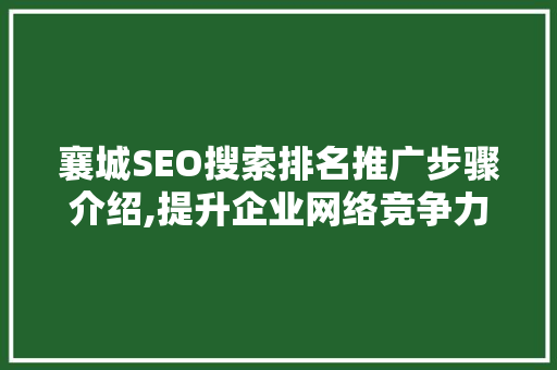 襄城SEO搜索排名推广步骤介绍,提升企业网络竞争力