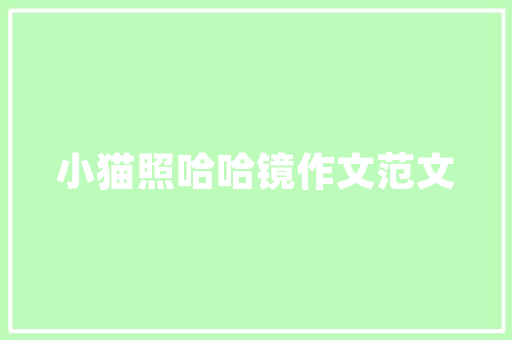 代码量掺水软件开发中的隐陷阱与应对步骤
