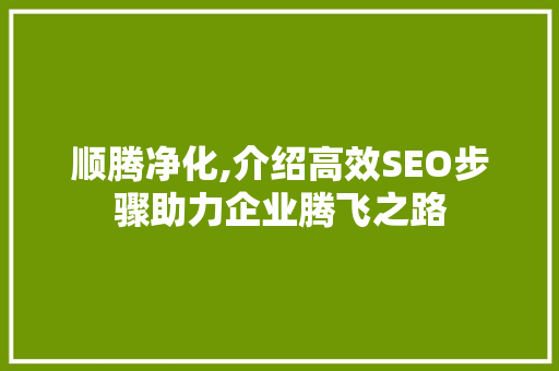 顺腾净化,介绍高效SEO步骤助力企业腾飞之路