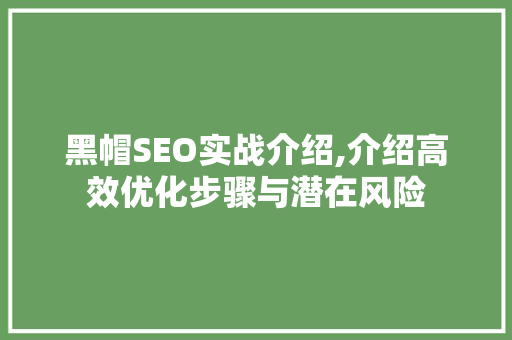 黑帽SEO实战介绍,介绍高效优化步骤与潜在风险  第1张