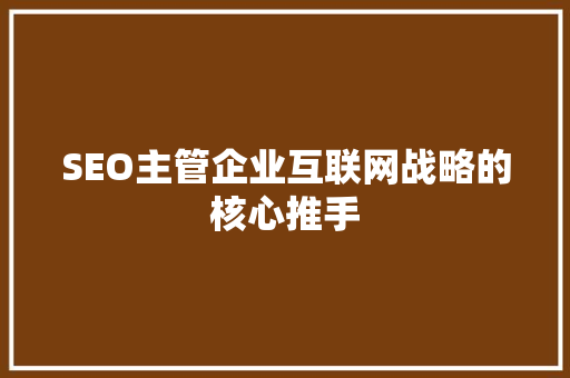SEO主管企业互联网战略的核心推手