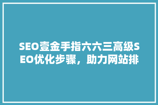 SEO壹金手指六六三高级SEO优化步骤，助力网站排名提升