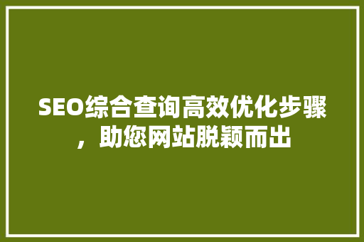 SEO综合查询高效优化步骤，助您网站脱颖而出