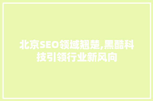 北京SEO领域翘楚,黑酷科技引领行业新风向