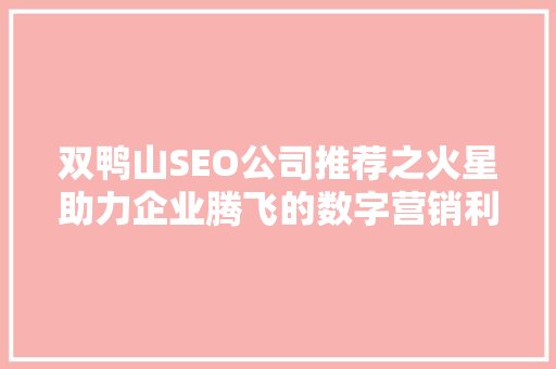 双鸭山SEO公司推荐之火星助力企业腾飞的数字营销利器