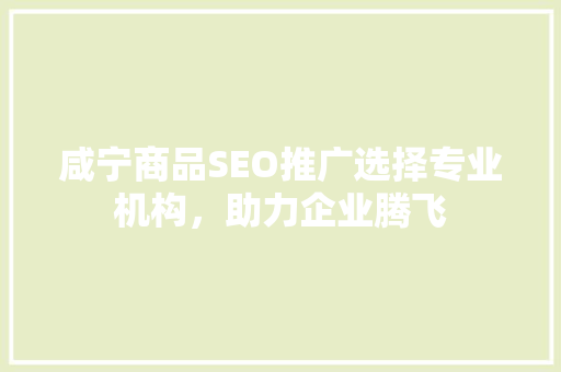 咸宁商品SEO推广选择专业机构，助力企业腾飞