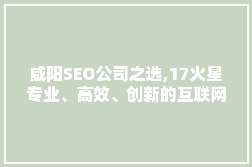 咸阳SEO公司之选,17火星专业、高效、创新的互联网营销伙伴