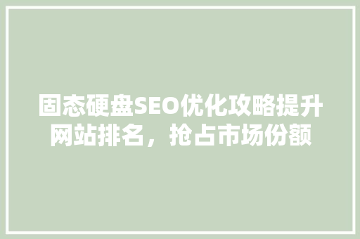 固态硬盘SEO优化攻略提升网站排名，抢占市场份额