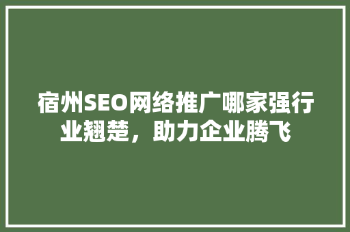宿州SEO网络推广哪家强行业翘楚，助力企业腾飞