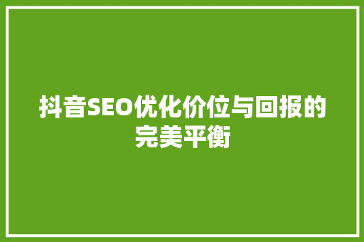 抖音SEO优化价位与回报的完美平衡