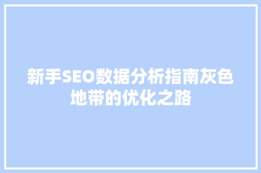 新手SEO数据分析指南灰色地带的优化之路  第1张