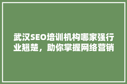 武汉SEO培训机构哪家强行业翘楚，助你掌握网络营销之路
