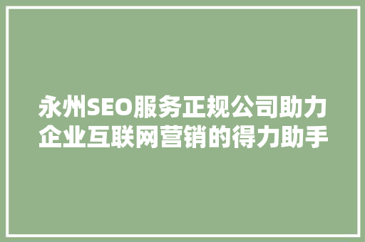 永州SEO服务正规公司助力企业互联网营销的得力助手