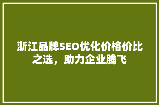 浙江品牌SEO优化价格价比之选，助力企业腾飞