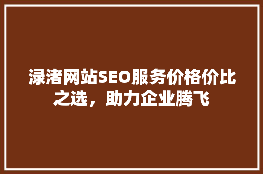 渌渚网站SEO服务价格价比之选，助力企业腾飞  第1张