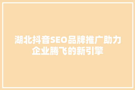 湖北抖音SEO品牌推广助力企业腾飞的新引擎