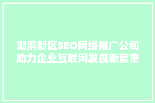 湖滨新区SEO网络推广公司助力企业互联网发展新篇章