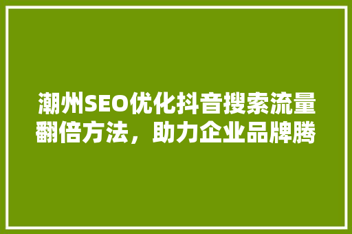 潮州SEO优化抖音搜索流量翻倍方法，助力企业品牌腾飞