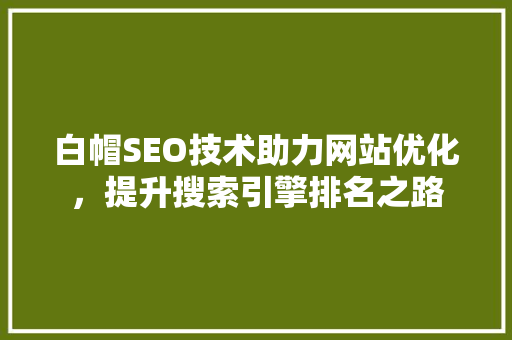 白帽SEO技术助力网站优化，提升搜索引擎排名之路