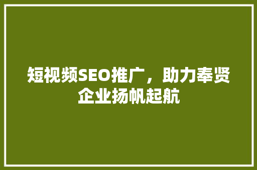 短视频SEO推广，助力奉贤企业扬帆起航  第1张