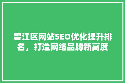 碧江区网站SEO优化提升排名，打造网络品牌新高度