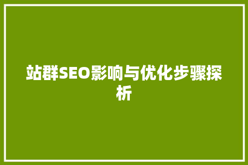 站群SEO影响与优化步骤探析