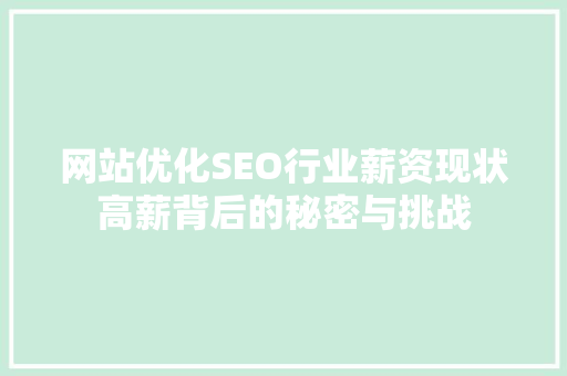 网站优化SEO行业薪资现状高薪背后的秘密与挑战  第1张