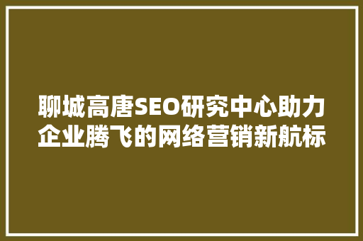 聊城高唐SEO研究中心助力企业腾飞的网络营销新航标