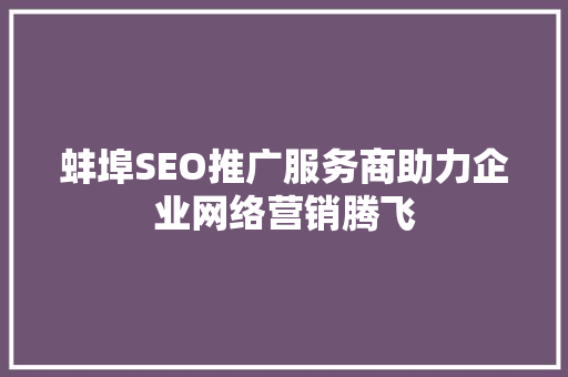 蚌埠SEO推广服务商助力企业网络营销腾飞