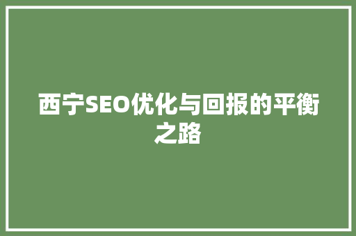 西宁SEO优化与回报的平衡之路  第1张