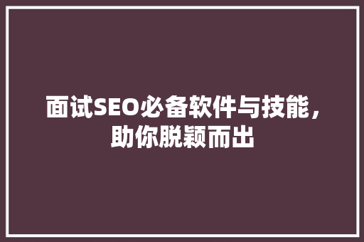 面试SEO必备软件与技能，助你脱颖而出