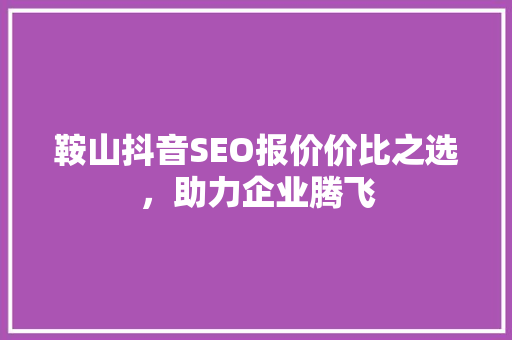 鞍山抖音SEO报价价比之选，助力企业腾飞