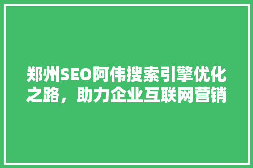 郑州SEO阿伟搜索引擎优化之路，助力企业互联网营销新高度