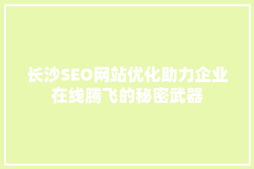 长沙SEO网站优化助力企业在线腾飞的秘密武器