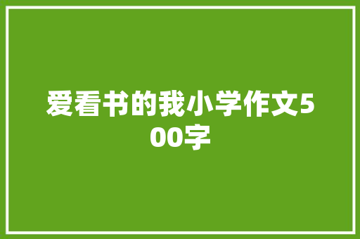 21火星SEO平台助力企业提升网站排名，打造高效网络营销步骤