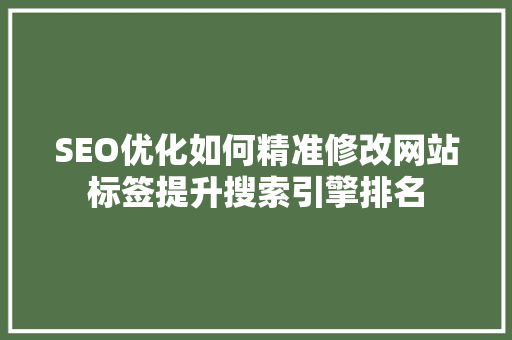 SEO优化如何精准修改网站标签提升搜索引擎排名