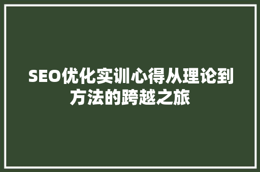 SEO优化实训心得从理论到方法的跨越之旅