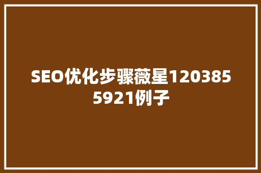 SEO优化步骤薇星1203855921例子