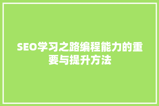 SEO学习之路编程能力的重要与提升方法  第1张